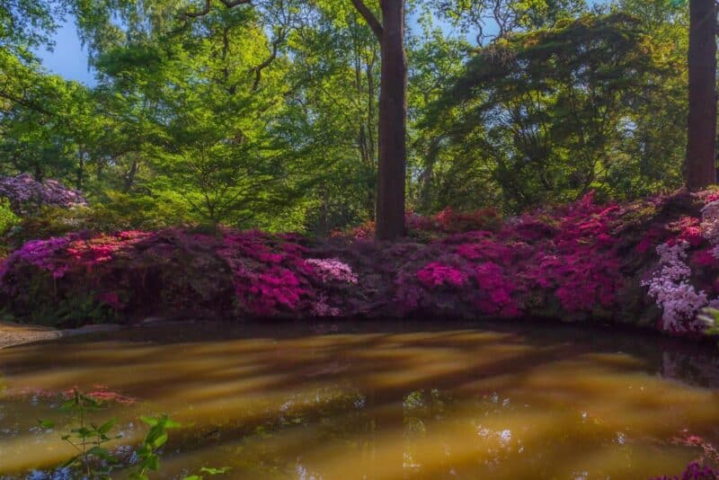 Como fotografar paisagens incriveis